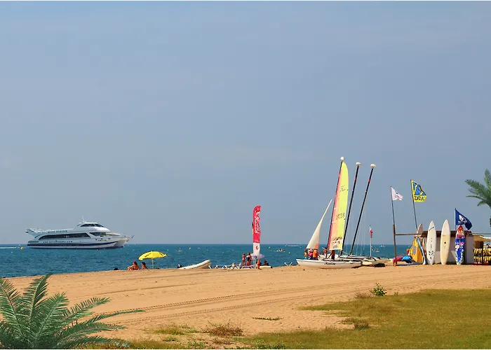 Dwo Sirius (adults Only)