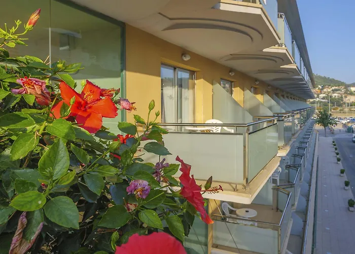 Dwo Sirius (adults Only) 4*